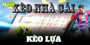 keo lua