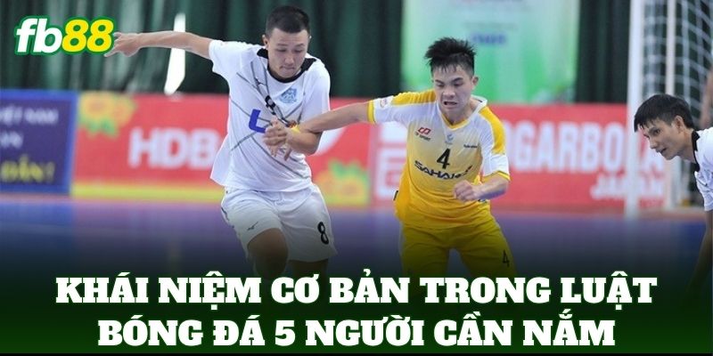 Luật Bóng Đá 5 Người - Quy Định Thi Đấu Và Cách Soi Kèo 1 Khái niệm cơ bản trong Luật Bóng Đá 5 Người cần nắm