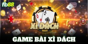 xi dach