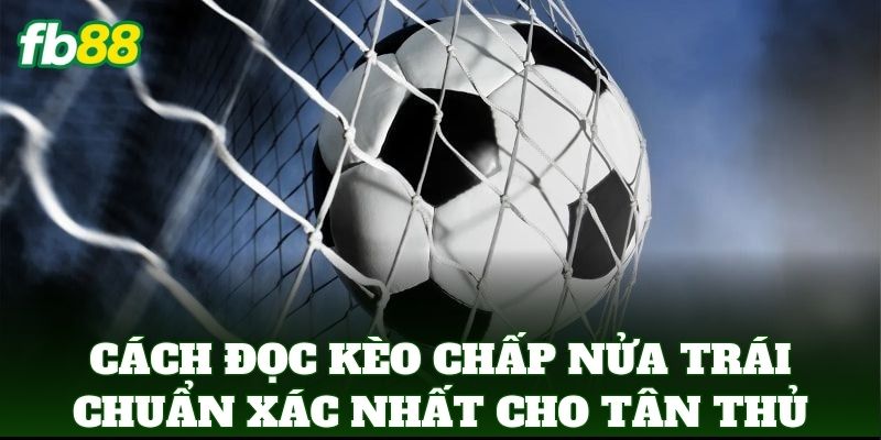 Cách Đọc Kèo Chấp Nửa Trái Chuẩn Xác Cho Người Mới FB88 1 Cách Đọc Kèo Chấp Nửa Trái Chuẩn xác nhất dành cho tân thủ