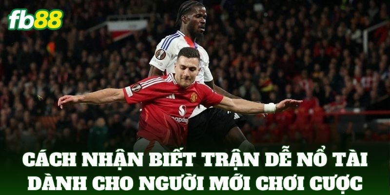 Cách Nhận Biết Trận Dễ Nổ Tài dành cho người mới chơi cược