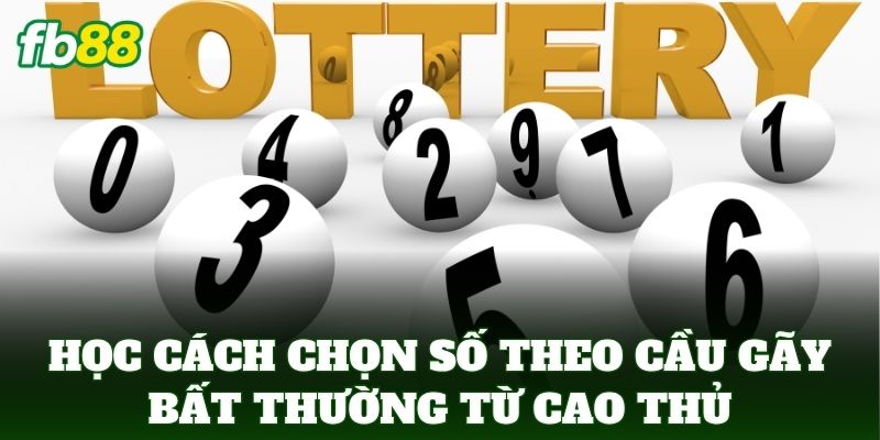 Học Cách Chọn Số Theo Cầu Gãy Bất Thường từ cao thủ lão luyện
