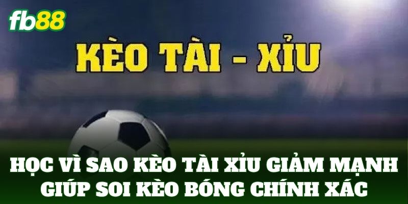 Vì Sao Kèo Tài Xỉu Giảm Mạnh Và Cách Nhận Diện Từ FB88 2 Hiểu Vì Sao Kèo Tài Xỉu Giảm Mạnh giúp soi kèo bóng chính xác