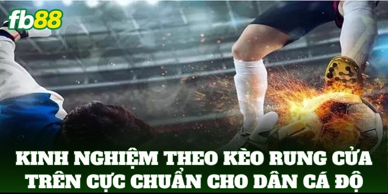 Kinh Nghiệm Theo Kèo Rung Cửa Trên cực chuẩn cho dân cá độ