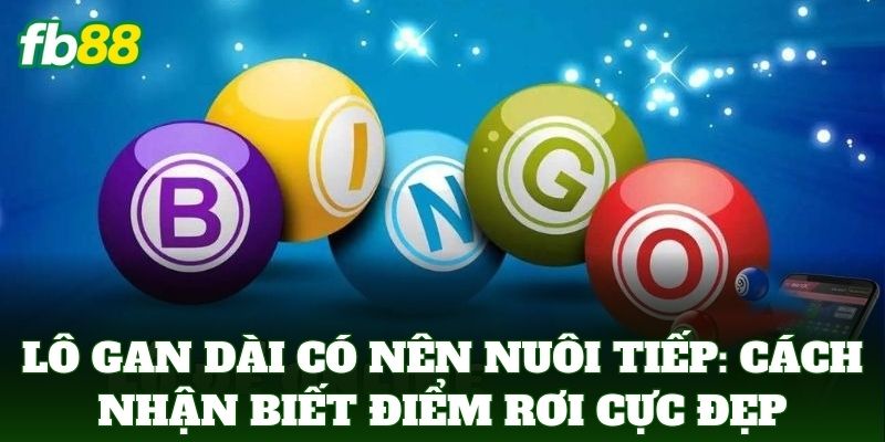 Lô Gan Dài Có Nên Nuôi Tiếp: Cách nhận biết điểm rơi cực đẹp