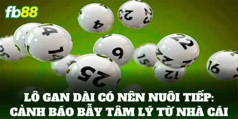 Lô Gan Dài Có Nên Nuôi Tiếp: Cảnh báo bẫy tâm lý từ nhà cái