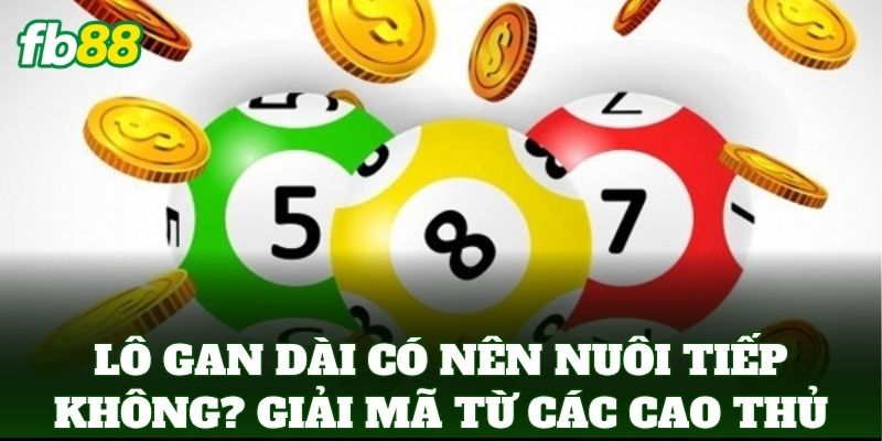 Lô Gan Dài Có Nên Nuôi Tiếp không? Giải mã từ các cao thủ