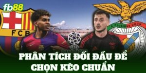 phan tich doi dau de chon keo chuan