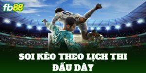 soi keo theo lich thi dau day