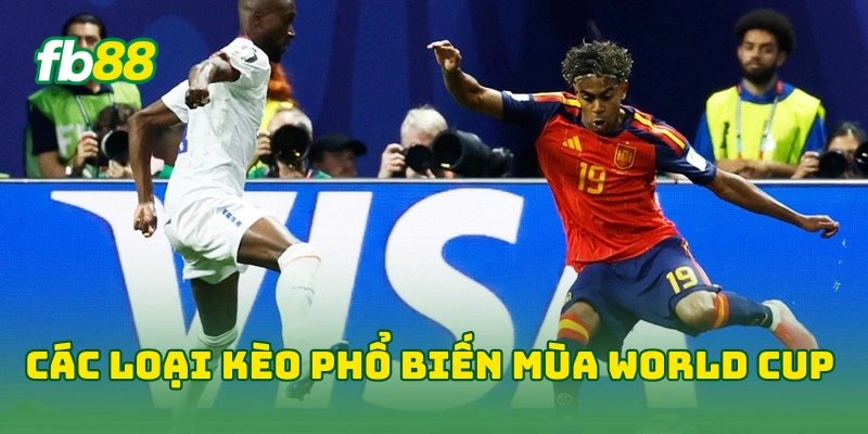 Cách Xem Kèo Cược World Cup Chuẩn Giúp Cược Thủ Bắt Kèo Tốt! 3 Các loại kèo phổ biến mùa World Cup