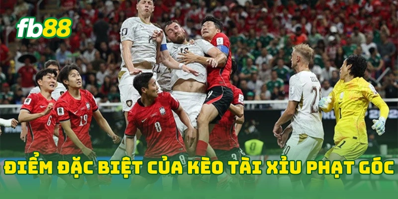 Kèo Tài Xỉu Phạt Góc World Cup: Top Mẹo Thắng Lớn Từ Cao Thủ 2 Điểm đặc biệt của kèo tài xỉu phạt góc