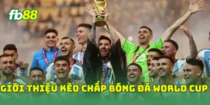 Giới thiệu kèo chấp bóng đá World Cup 