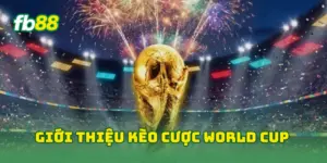 Giới thiệu kèo cược World Cup