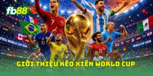 Giới thiệu kèo xiên World Cup