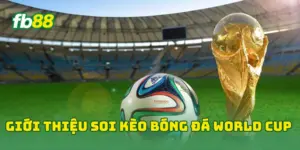 Giới thiệu soi kèo bóng đá World Cup 
