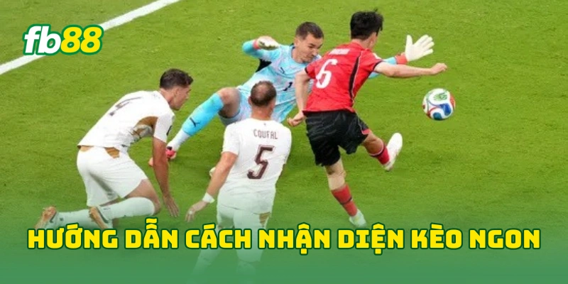 Kèo Ngon World Cup Đêm Nay Là Gì? Bí Kíp Đọc Kèo Từ Chuyên Gia! 2 Hướng dẫn cách nhận diện kèo ngon