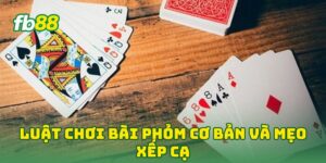 Luật Chơi Bài Phỏm Cơ Bản và mẹo xếp cạ