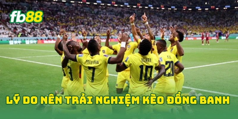 Kèo Đồng Banh World Cup Hôm Nay Với Bí Kíp Từ Cao Thủ FB88! 2 Lý do nên trải nghiệm kèo đồng banh