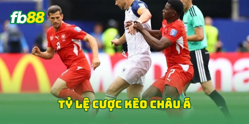 Soi Tỷ Lệ Cược World Cup Kinh Nghiệm Chuẩn Xác Từ Chuyên Gia 3 Tỷ lệ cược kèo châu Á