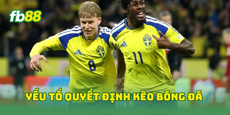 Soi Kèo Bóng Đá World Cup: Mẹo Chính Xác Từ Chuyên Gia FB88! 2 Yếu tố quyết định kèo bóng đá