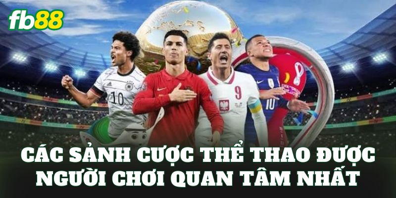 Các sảnh cược thể thao được người chơi quan tâm nhất