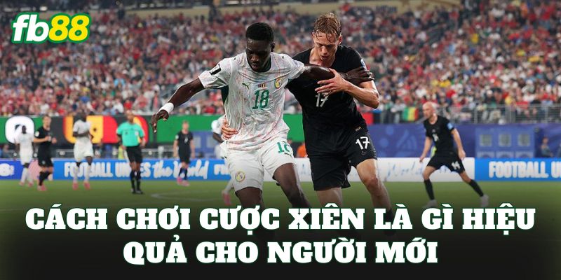 Cách chơi cược xiên là gì hiệu quả cho người mới