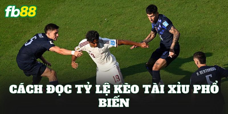 Cách đọc tỷ lệ kèo Tài Xỉu phổ biến