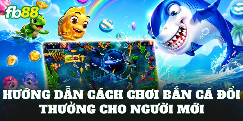 Hướng dẫn cách chơi bắn cá đổi thưởng cho người mới