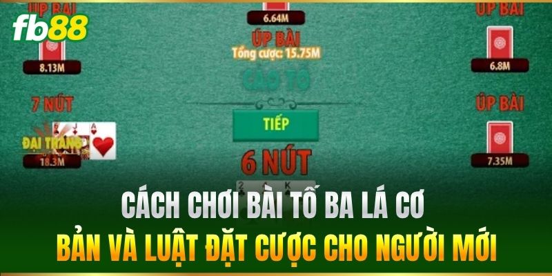 Cách Chơi Bài Tố Ba Lá cơ bản và luật đặt cược cho người mới