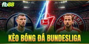 keo bong da bundesliga