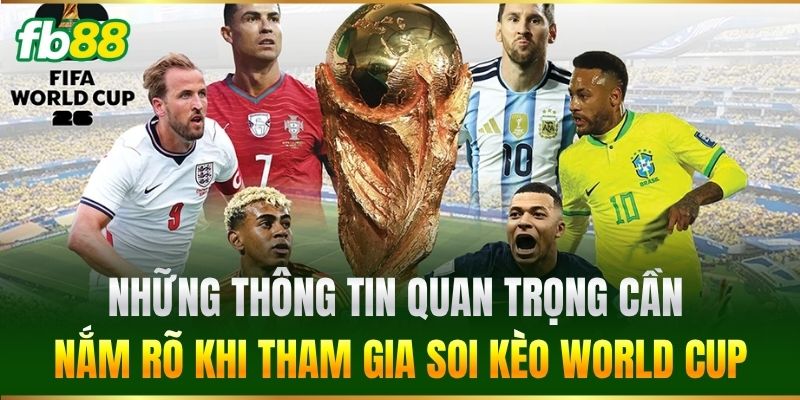 Những thông tin quan trọng cần nắm rõ khi tham gia soi kèo bóng đá